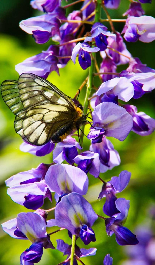 IMGP3459_t