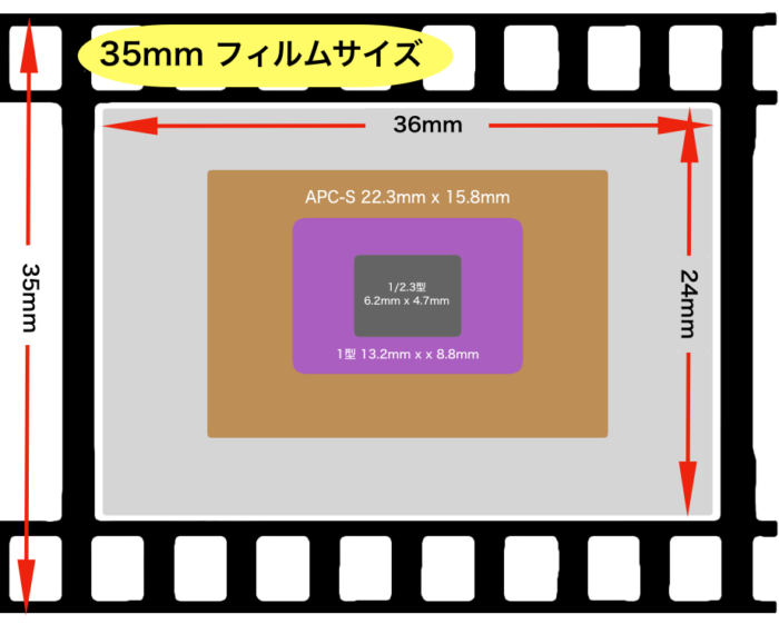 センサーサイズ比較