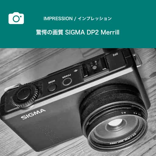 imp_dp2_merrill_kyougaku