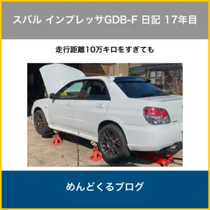 gdbf_diary17