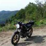 オフロード走行 suzuki goose 250
