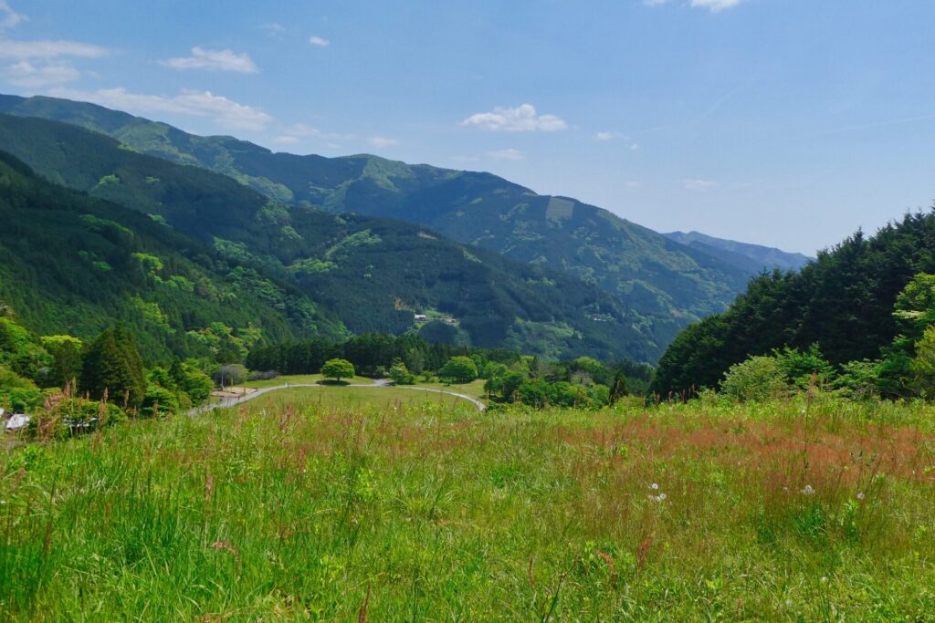 吾川スカイパーク キャンプ場