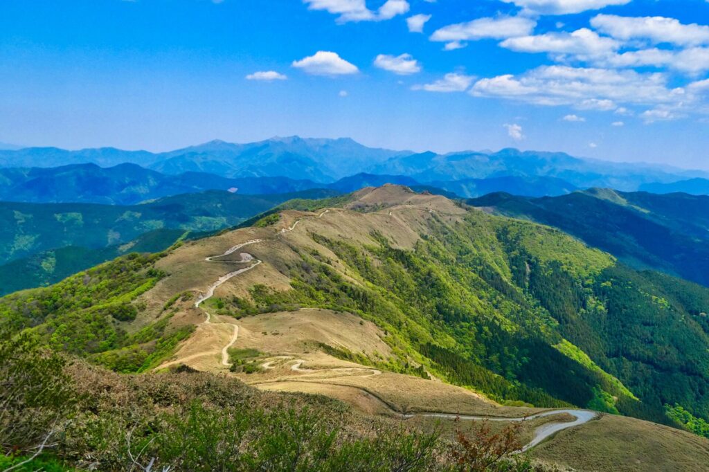 山頂から天空林道