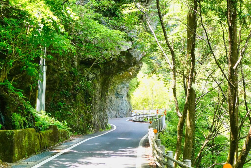 県道363号